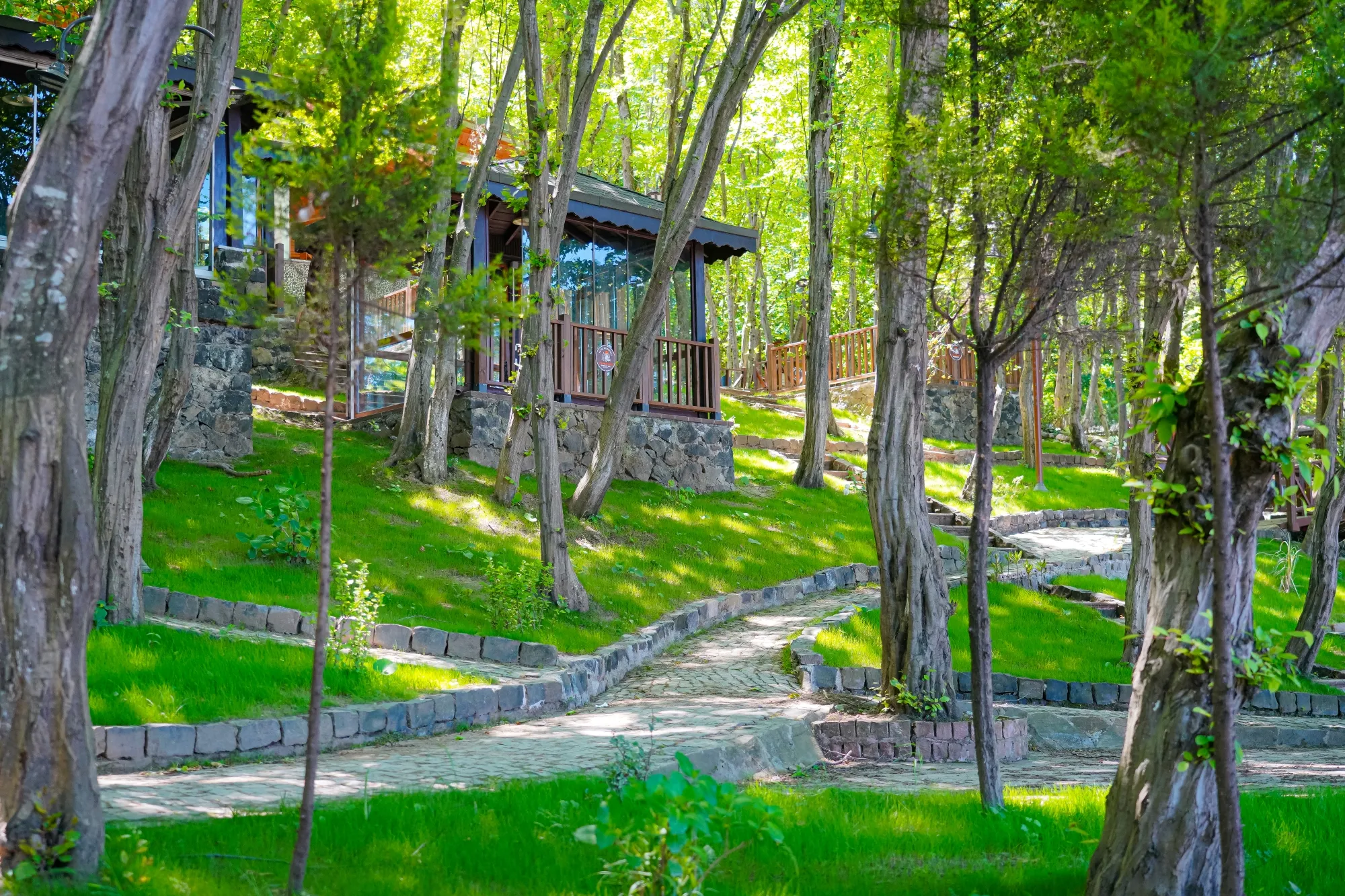 Her Adımda Huzur